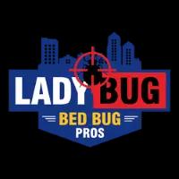 Expert bed bug extermination services in Boston with eco-friendly solutions and a focus on customer satisfaction.