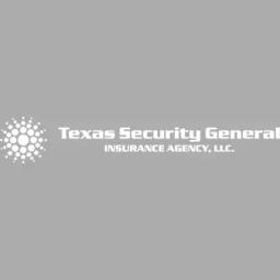 Texas Security General Insurance Agency offers comprehensive insurance solutions with a focus on customer satisfaction and innovation.