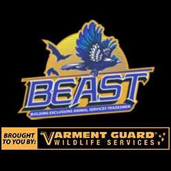 Expert wildlife removal and animal damage repair services in Minneapolis and St. Paul, MN.