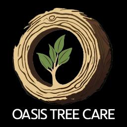 Family-owned tree service in Springfield, offering safe tree care, removal, and pruning, including emergency storm work.