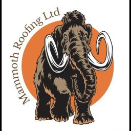 Mammoth Roofing Ltd. delivers innovative roofing solutions with a commitment to quality and customer satisfaction.