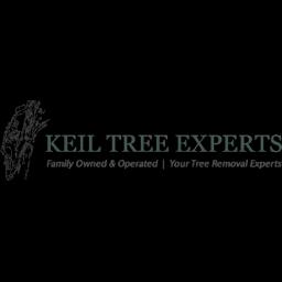 Family-owned tree care experts in Baltimore, offering removal, pruning, and pest management services with 40+ years of experience.