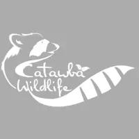 Catawba Wildlife specializes in safe, humane wildlife removal services in Charlotte, NC, and surrounding areas.