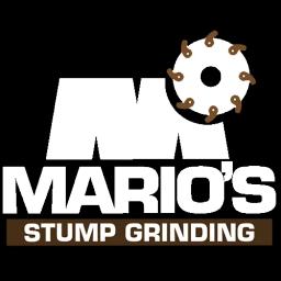 Family-owned stump grinding service in Atlanta with 18 years of experience and a focus on customer satisfaction.