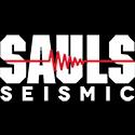 Sauls Seismic, LLC provides expert seismic consulting and environmental monitoring solutions across multiple industries for over 45 years.