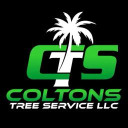 Expert tree services in Palm City and Port St. Lucie for residential and commercial needs, enhancing property value and safety.