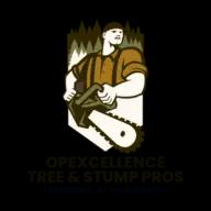 Veteran-owned tree service in Shreveport, LA, offering quality care and discounts for community heroes.