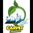Carpet Steamers, LLC offers top-notch carpet cleaning and restoration services in Henderson, NV with a focus on customer satisfaction.