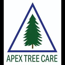 Apex Tree Care offers expert tree and snow removal services in Anchorage, Alaska, ensuring quality and customer satisfaction.