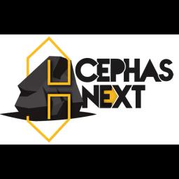 Cephas NeXt Inc. offers site preparation and demolition services, ensuring safety and timely project delivery since 1995.