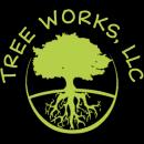 Tree Works LLC offers expert tree services in Chesapeake and Virginia Beach, ensuring safe and beautiful landscapes.
