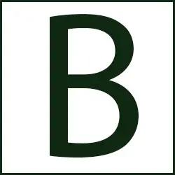 Bridger Design + Build LLC offers comprehensive construction services in Nashville, focused on community and quality.