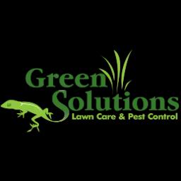 Leading lawn care and pest control services in Tampa with 80+ years of combined experience and eco-friendly solutions.