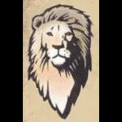 Expert stone installation and masonry services in Arizona with over 25 years of experience.