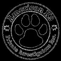 Expert K-9 bed bug detection services in New England with high standards and discretion.