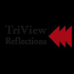 Family-owned since 1993, TriView Reflections specializes in custom shower doors, mirrors, and glass across New York.