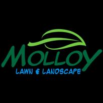 Molloy Lawn & Landscape: family-owned experts in lawn care and landscaping in Milton, MA for over 60 years.