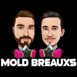 Mold Breauxs LLC offers efficient mold remediation services in Louisiana using eco-friendly dry fogging methods.