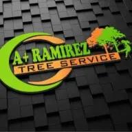 Expert tree and palm services in Fresno County, focused on customer satisfaction and safety.