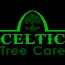Celtic Services VB, LLC offers expert tree care services in Hampton Roads with a focus on safety and customer satisfaction.