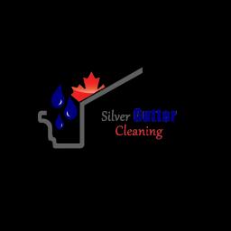 Silver Gutter Cleaning: Your trusted Charlotte gutter service provider for cleaning, installation, and repairs.