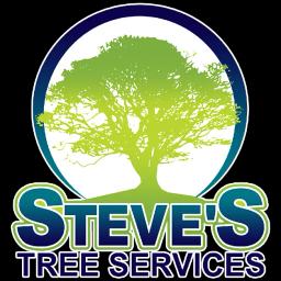 Full-service tree care company in Toledo, OH, specializing in tree removal, pruning, and crane services since 2008.