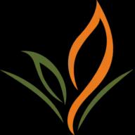 JMC Landscaping LLC designs and installs beautiful landscapes with a focus on palm trees and tropical plants in Florida.