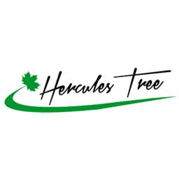 Reliable tree services in Akron, OH, specializing in removal, trimming, and emergency care with a focus on customer satisfaction.