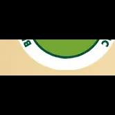 Family-owned tree care service since 2001, offering expert pruning, removal, and maintenance for residential and commercial needs.