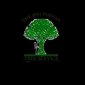 Top-notch tree services in Centereach, NY, focused on quality, affordability, and customer satisfaction.