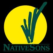 Native Sons LLC: Premier commercial landscaping services dedicated to enhancing local business properties year-round.
