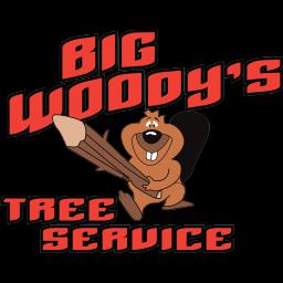 Local tree service in Chattanooga offering expert care, storm cleanup, demolition, and land clearing since 2009.