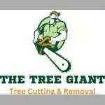 Expert tree trimming and removal services for residential and commercial properties, ensuring safety and aesthetics.