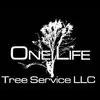 One Life Tree Service offers professional tree care services in Lincoln, NE, ensuring client satisfaction and environmental impact.