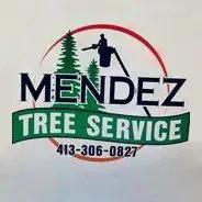 Mendez Tree Service offers expert tree care solutions in Hampden County, MA, with over 21 years of experience.