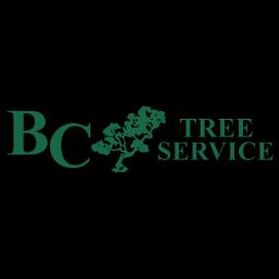Expert tree and vegetation management services in Ventura County with 30+ years of experience.