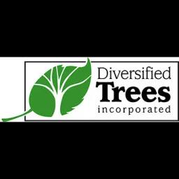Diversified Trees Inc: Expert tree care dedicated to beautifying properties in Georgia and Alabama since 2002.