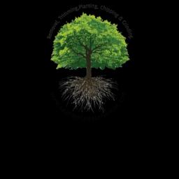 Saunders Tree Service provides expert tree care in the Bay Area, focusing on health and safety for residential and commercial properties.