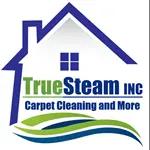 True Steam LLC offers top-rated carpet and upholstery cleaning services in Richmond, VA, ensuring customer satisfaction and quality.