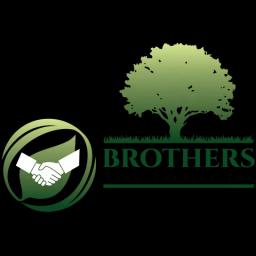 Expert tree care services for residential and commercial properties, serving Escondido and surrounding areas for 15 years.