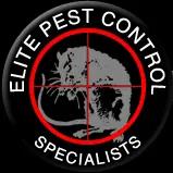 T.N.T Exterminators offers expert pest control services in Chicago with 30 years of experience and innovative technology.