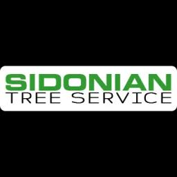 Professional tree services in Toledo, OH, offering removal, maintenance, and 24/7 emergency assistance since 2015.