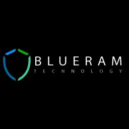 Blueram Technology Solutions offers innovative security solutions and services across various sectors in the Chicagoland area.