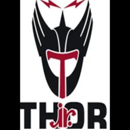 Thor Jr., Inc. offers reliable electrical and general contracting services in Norfolk, VA, specializing in residential and commercial projects.