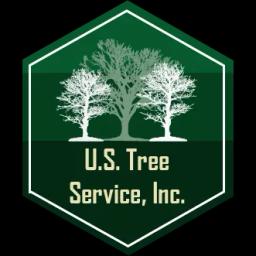 Family-owned tree care experts in Chicago suburbs, offering reliable services for over 20 years.
