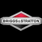 Briggs & Stratton: Leading global producer of engines and outdoor power equipment with over 100 years of innovation.