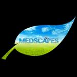 Medscapes LLC provides top-notch landscaping services in Tampa, focusing on design, construction, and maintenance for all properties.