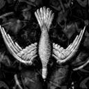 CL Jones Construction is a Texas-based company specializing in commercial interiors and remodeling since 2010.