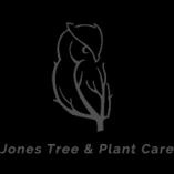 Expert tree care and landscape management services tailored for your needs, ensuring health and beauty for your property.