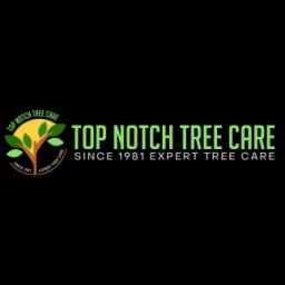Expert tree care services in Los Angeles since 1981, including trimming, removal, and pest analysis.